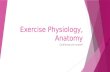 Exercise Physiology, Anatomy Cardiovascular system.