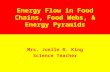 Energy Flow in Food Chains, Food Webs, & Energy Pyramids Mrs. Joelle R. King Science Teacher.