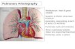 Pulmonary Arteriography Mediastinum: heart & great vessels Superior & inferior vena cava: Rt atrium Ascending, descending, & arch of aorta: (Lt ventricle)