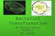 Bacterial Transformation AP Biology/Honors Genetics Ms. Gaynor.
