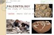 PALEONTOLOGY the study of fossils or past life “paleo” means old or ancient Chapter 6 – The Rock and Fossil Record  3 ½ min.