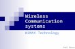 Wireless Communication systems WiMAX Technology Paul Borza.