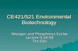 CE421/521 Environmental Biotechnology Nitrogen and Phosphorus Cycles Lecture 9-26-06 Tim Ellis.
