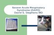 Severe Acute Respiratory Syndrome (SARS) David S. Stephens MD.