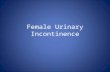 Female Urinary Incontinence. Pregnancy Urinary Incontinence and Prolapse Incontinence and prolapse commonly coexist But, – they do not always share a.
