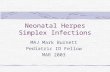 Neonatal Herpes Simplex Infections MAJ Mark Burnett Pediatric ID Fellow MAR 2003.