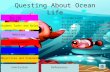 Questing About Ocean Life Student Tasks and Roles Objectives and Standards Websites For the Teacher Assignments Rubrics Conclusion Introduction: In this.