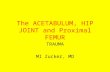 The ACETABULUM, HIP JOINT and Proximal FEMUR TRAUMA MI Zucker, MD.