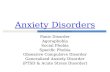 Anxiety Disorders Panic Disorder Agoraphobia Social Phobia Specific Phobia Obsessive Compulsive Disorder Generalized Anxiety Disorder (PTSD & Acute Stress.