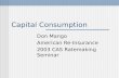 Capital Consumption Don Mango American Re-Insurance 2003 CAS Ratemaking Seminar.