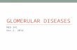 GLOMERULAR DISEASES MED 341 Nov 2, 2014. Objectives 1- To understand the pathophysiology of primary Glomerular Diseases 2- To correlate the clinical findings.