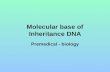 Molecular base of Inheritance DNA Premedical - biology.