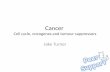 Cancer Cell cycle, oncogenes and tumour suppressors Jake Turner.
