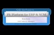 PI: Platform for ERP & SCM Ron Kolz ERP Industry Manager.