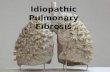 Idiopathic Pulmonary Fibrosis. What is Idiopathic Pulmonary Fibrosis? Idiopathic Pulmonary Fibrosis (IPF) is a disease in which inflammation of Lung parenchyma.