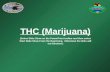 THC (Marijuana) (Select Slide Show on the PowerPoint toolbar and then select Start Slide Show From the Beginning. Otherwise the links will not function.)