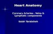 Heart Anatomy Coronary Arteries, Veins & Lymphatic components Salah Tarabsheh.