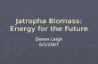 Jatropha Biomass: Energy for the Future Deven Leigh 6/2/2007.