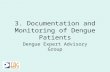 3. Documentation and Monitoring of Dengue Patients Dengue Expert Advisory Group.