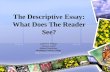 The Descriptive Essay: What Does The Reader See? Catherine Wishart Literacy Coach Adjunct Instructor, Burlington County College .
