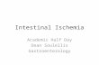 Intestinal Ischemia Academic Half Day Dean Soulellis Gastroenterology.