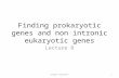 Finding prokaryotic genes and non intronic eukaryotic genes Lecture 8 Global Sequence1.