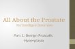 All About the Prostate For Intelligent Internists Part 1: Benign Prostatic Hyperplasia.