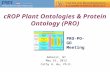 CROP Plant Ontologies & Protein Ontology (PRO) Amherst, NY May 16, 2013 Cathy H. Wu, Ph.D. PRO-PO-GO Meeting.