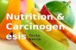 Trisha Garcia Nutrition & Carcinogenesis Trisha GarciaTrisha Garcia.