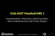 G16.4427 Practical MRI 1 – 9 th February 2015 G16.4427 Practical MRI 1 Magnetization, Relaxation, Bloch Equation, Basic Radiofrequency (RF) Pulse Shapes.