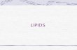 LIPIDS. THE LIPID FAMILY ORGANIC COMPOUNDS INSOLUBLE IN WATER INCLUDE: TRIGLYCERIDES PHOSPHOLIPIDS STEROLS.