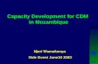 Capacity Development for CDM Capacity Development for CDM in Mozambique Njeri Wamukonya Side Event June10 2003.