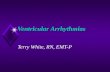 Ventricular Arrhythmias Terry White, RN, EMT-P. Analyze the Rhythm.