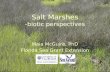 Salt Marshes -biotic perspectives Maia McGuire, PhD Florida Sea Grant Extension Agent.