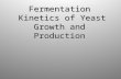 Fermentation Kinetics of Yeast Growth and Production.
