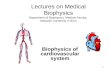 1 Biophysics of cardiovascular system Lectures on Medical Biophysics Department of Biophysics, Medical Faculty, Masaryk University in Brno.