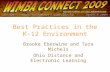 Best Practices in the K-12 Environment Brooke Eberwine and Tara Michels Ohio Distance and Electronic Learning.