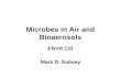 Microbes in Air and Bioaerosols ENVR 133 Mark D. Sobsey.