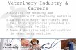 Veterinary Industry & Careers A.Discuss the meaning and importance of veterinary medicine B.Categorize major activities and health care services provided.