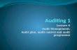 Lecture 6 Audit Management; Audit plan, audit control and audit programme.