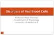 Professor Myat Thandar Department of Physiology University of Medicine 1 Disorders of Red Blood Cells 1.