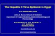 The Hepatitis C Virus Epidemic in Egypt Dr. F. DeWolfe Miller, FACE John A. Burns School of Medicine Department of Tropical Medicine, Medical Microbiology.