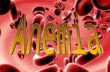 ANEMIA  Definition :- Anemia is a hematologic condition in which there is quantitative deficiency of circulating hemoglobin (Hb), often accompanied a.