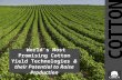 World’s Most Promising Cotton Yield Technologies & their Potential to Raise Production.