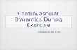 Cardiovascular Dynamics During Exercise Chapters 15 & 16.