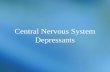 Central Nervous System Depressants. CNS Depressants Sedatives Drugs that have an inhibitory effect on the CNS to the degree that they reduce: –Nervousness.