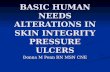 BASIC HUMAN NEEDS ALTERATIONS IN SKIN INTEGRITY PRESSURE ULCERS Donna M Penn RN MSN CNE.