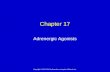 Copyright © 2013, 2010 by Saunders, an imprint of Elsevier Inc. Chapter 17 Adrenergic Agonists.