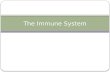 The Immune System. Immune System Our immune system is made up of: The innate immune system: first line of defence (non-specific) The adaptive immune system: