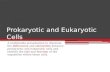 Prokaryotic and Eukaryotic Cells A multimedia presentation to illustrate the differences and similarities between prokaryotic and eukaryotic cells and.
